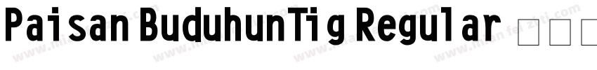 Paisan BuduhunTig Regular 字体下载字体转换